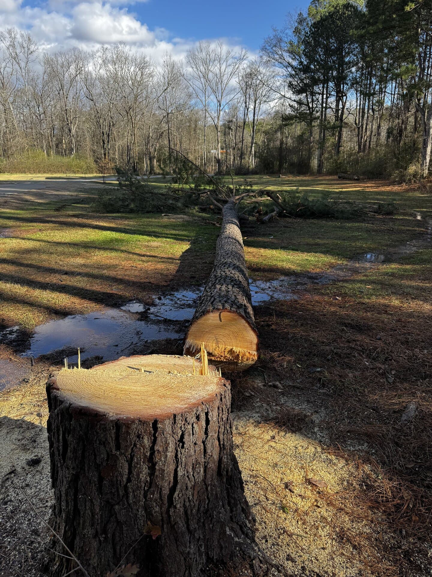 Woodly light post craftsmanship